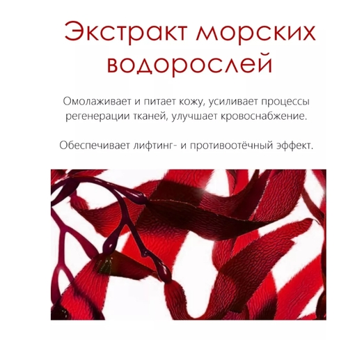 Сила моря: каков состав гидрогелевых патчей с водорослями и обзор ТОП-10 лучших