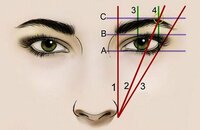 Архитектура бровей все тонкости построении формы